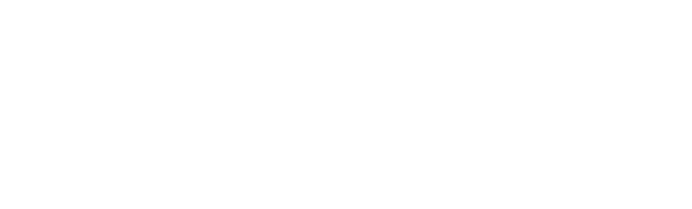 ARAS GUBRE